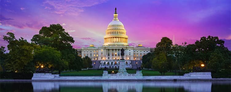 The Rheum Advocate Newsletter